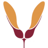 Samara Foundation